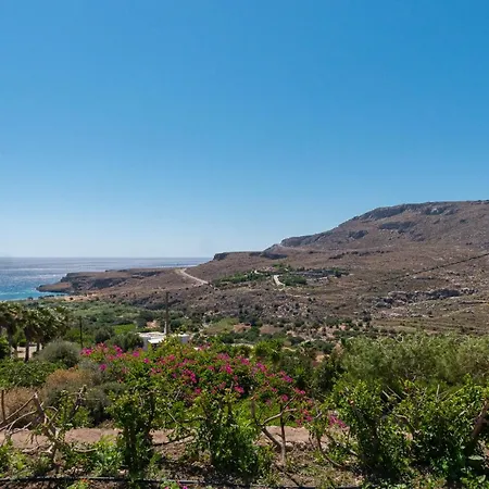 Anthia Sea View
